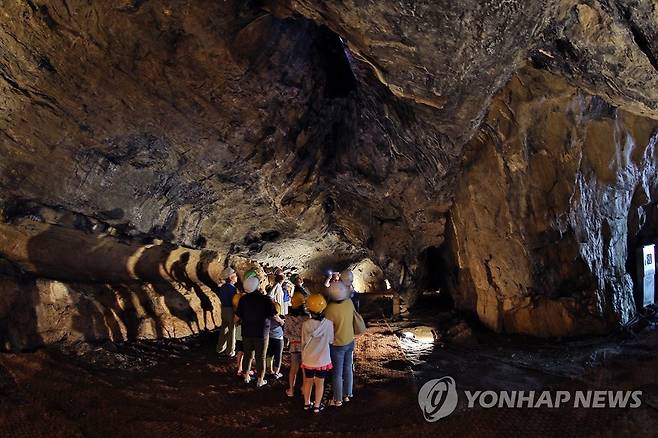 시원한 광천선굴에서 여름나기 [연합뉴스 자료사진]