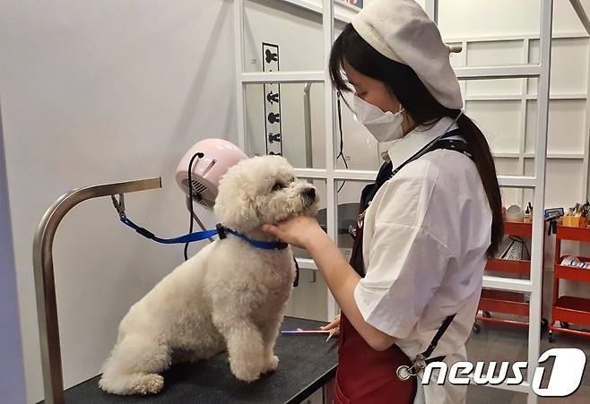 어나더베이비에서 근무하고 있는 애견미용사와 훈련사 © 뉴스1 최서윤 기자
