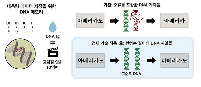 DNA 메모리 분야의 상용화를 위한 DNA 정제 기술 (권성훈 서울대학교 교수 제공) 2022.07.06 /뉴스1