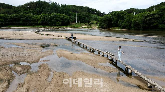 경북 영주 무섬마을의 외나무다리는 수도교가 놓이기 전까지 350년이 넘도록 하천 바깥과 마을을 이어준 유일한 통로였다.