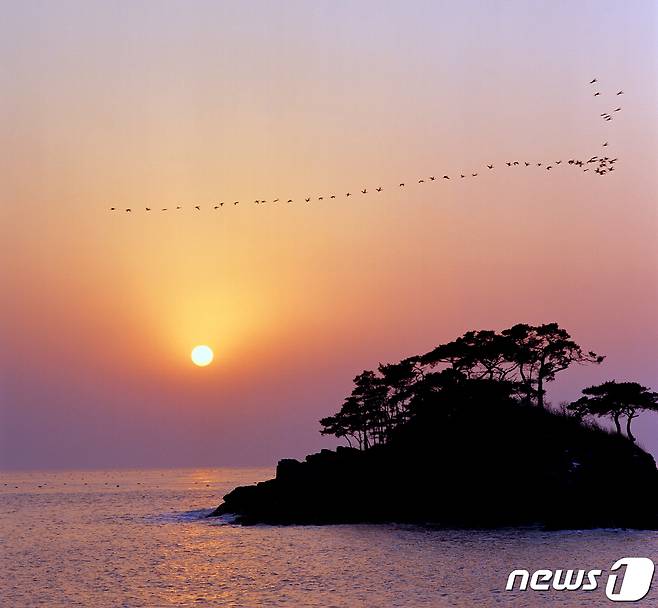 솔섬의 석양. 솔섬은 노을의 고장 변산에서도 으뜸으로 치는 노을 명소다. 사진 김영화, 국립공원공단 ⓒ 뉴스1