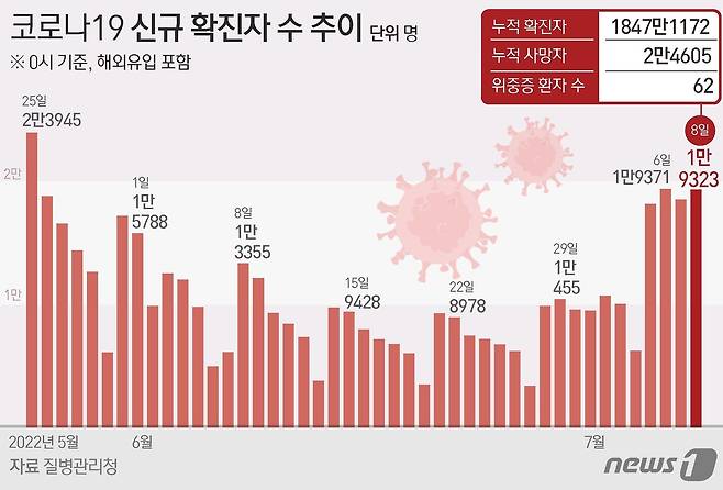 © News1 김초희 디자이너