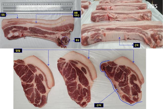 제주산 냉장 삼겹살(위)과 냉장 목살(아래)