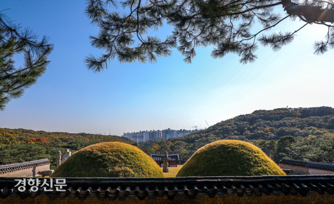 경기도 김포 장릉(사적 제202호)에서 검단 신도시 아파트가 보이고 있다. 2021-10-28 / 이석우 기자