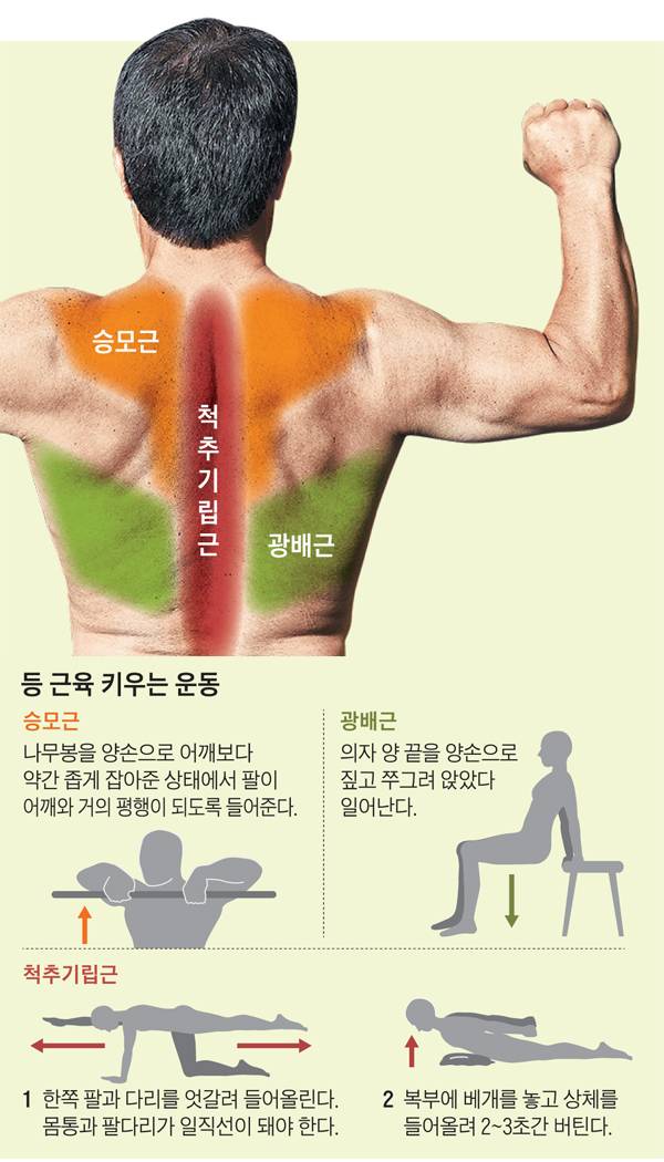 헬스조선 DB