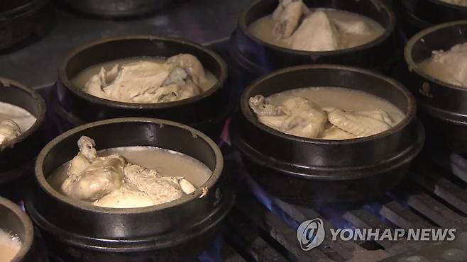 삼계탕 ※ 기사와 직접적인 관계가 없습니다. [연합뉴스TV 제공]