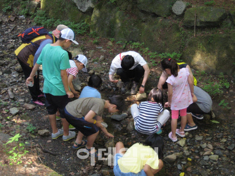 대전 만인산자연휴양림에서 어린이들이 숲체험 프로그램에 참여하고 있다. (사진=대전시 제공)