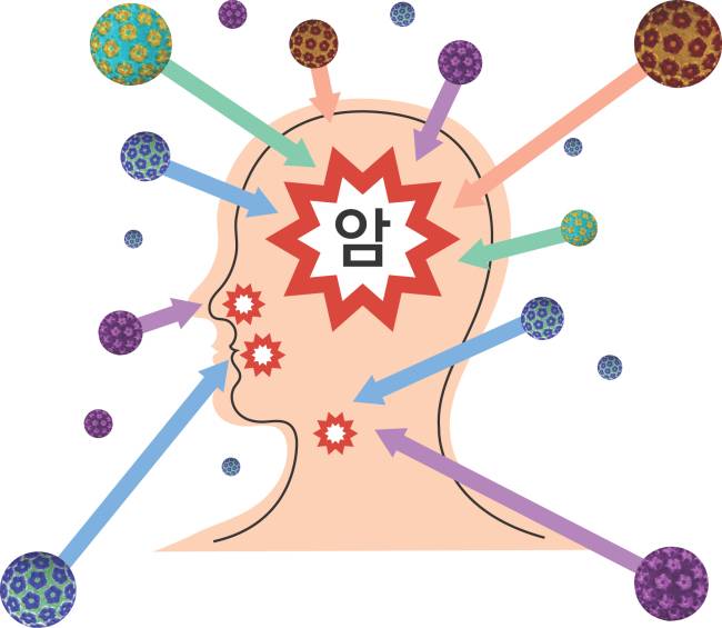 일러스트|경향신문DB