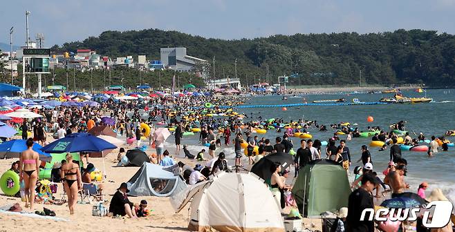 주말을 맞은 16일 충남 보령 대천해수욕장을 찾은 관광객들이 즐거운 시간을 보내고 있다. (특정 기사 내용과 무관한 자료 사진.) 2022.7.16/뉴스1 © News1 김기태 기자