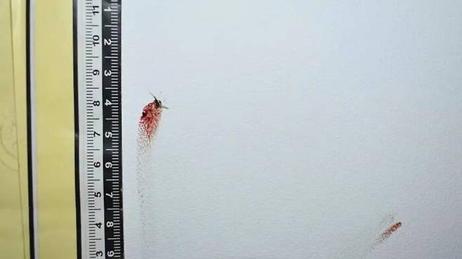 범행 현장에서 발견된 죽은 모기와 핏자국 (출처=푸저우 공안국)