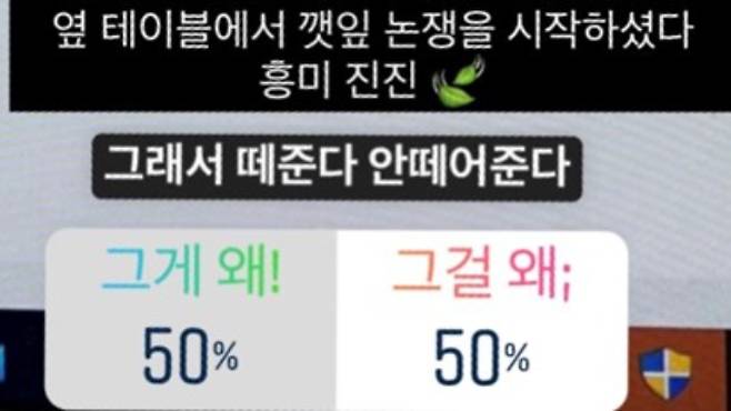 SNS로 '깻잎 논쟁'에 대한 의견을 표출하는 MZ세대. 캐릿 캡처