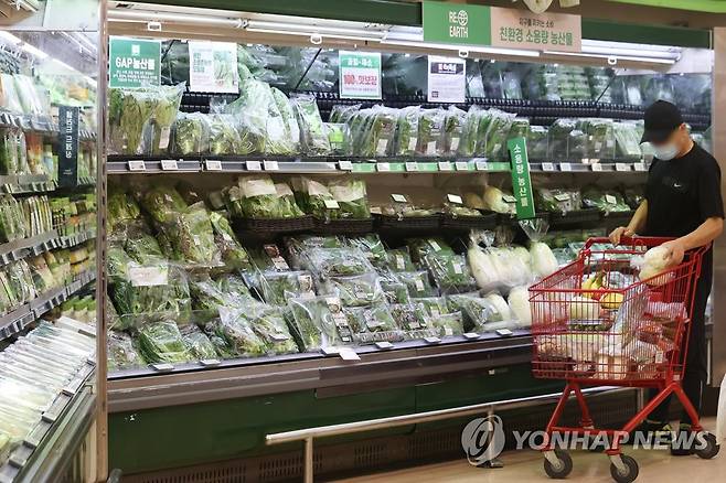 고물가에 유통업 체감경기 '급랭'…경기전망지수 큰 폭 하락 [연합뉴스 자료사진]