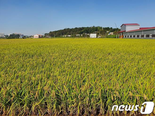 (사진은 기사 내용과 무관함) / 뉴스1 © News1