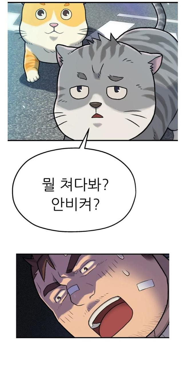 차 사고를 당한 주인공이 퇴원하던 중 길고양이가 자신에게 한 말인 '안 비켜?'를 알아듣는 순간 충격에 빠진다. 동물의 말을 이해할 수 있게 되면서 그는 수의사로서 새로운 삶을 살게 된다. 카카오웹툰 캡처