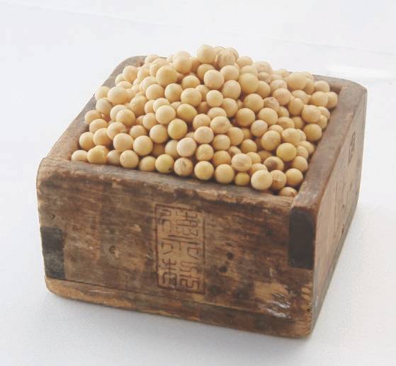 된장의 주재료인 콩. 사진 한식진흥원