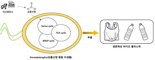 [국립생물자원관 제공. 재판매 및 DB 금지]