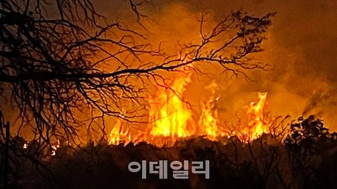 18일(현지시간) 오후 미국 텍사스주 초크 마운틴에서 발생한 산불이 이틀째 지속되고 있다. (사진=텍사스 A&M산림청)