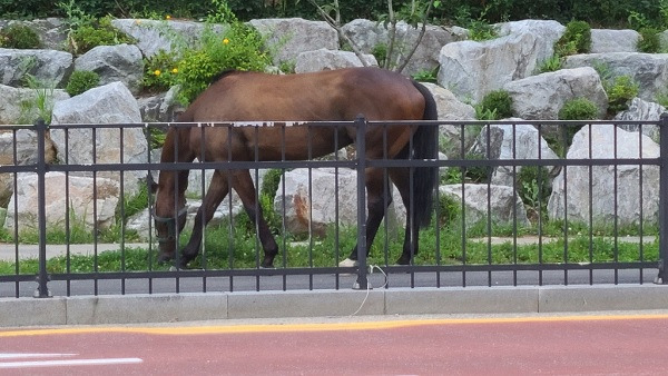 사진제공 : 연합뉴스