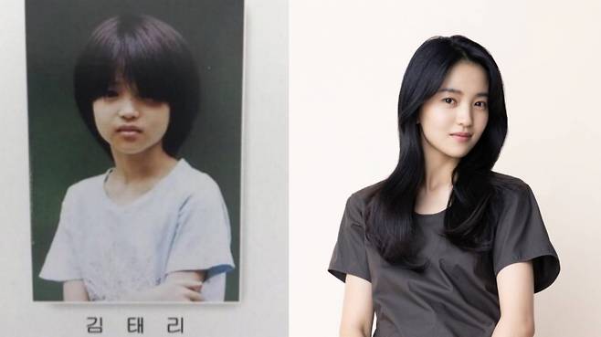 /사진=온라인 커뮤니티 캡처, 머니투데이 DB