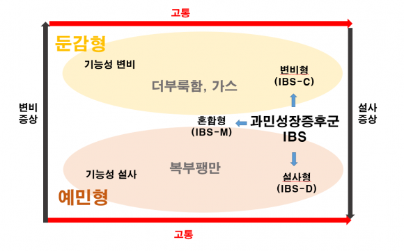 장 유형은 크게 둔감형과 예민형으로 나눌 수 있다. [참고자료=Aliment Pharmacol Ther Suppl]