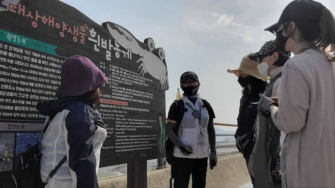 흰발농게 서식지.