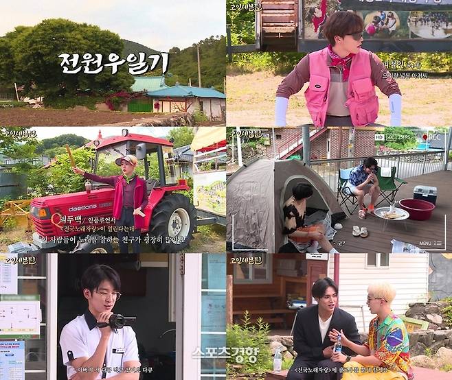 ‘고잉 세븐틴’ 화면 캡처