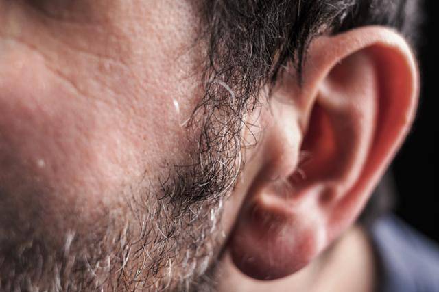 ⓒ게티이미지뱅크