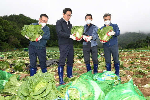 (서울=뉴스1) = 정황근 농림축산식품부 장관이 13일 강원 평창군 진부면 호명리 준고랭지 배추 재배단지를 방문해 수급관리 실태를 점검하고 있다. (평창군 제공)2022.7.13/뉴스1