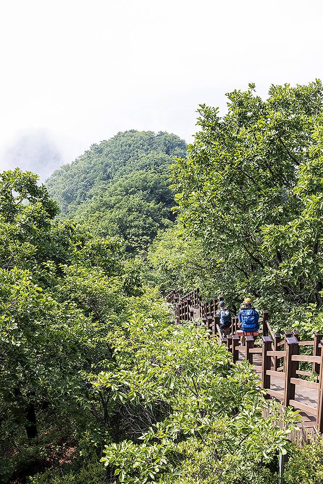 하산길. '천마산역'이라고 표기된 안내판을 따라가면 된다. 천마산 정상에서 천마산역까지 약 4.2km, 1시간 40분쯤 걸린다.