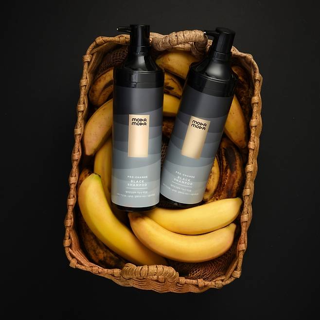 갈변작용에 힌트를 얻은 모다모다 샴푸