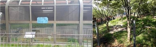 전주동물원 늑대사의 개선 전(왼쪽)과 개선 후(오른쪽)의 모습. 전주시 제공