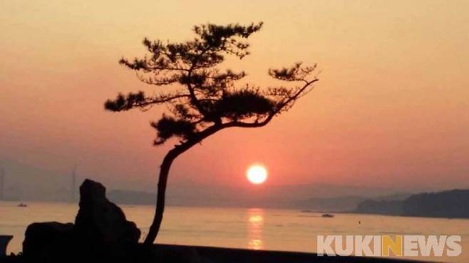 소나무 너머로 하루해가 지고 있다.