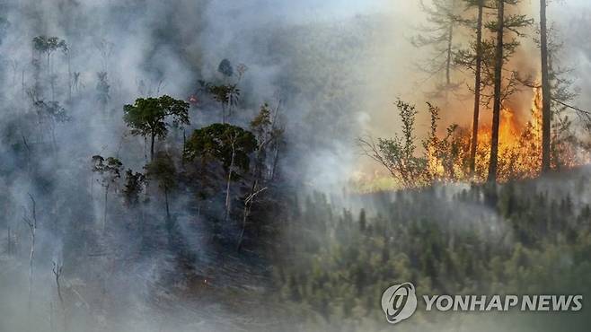 [연합뉴스TV 제공]