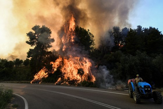 24일 그리스 펠로폰네소스 지역 주민이 산불을 피해 지나가고 있다. [로이터=연합뉴스]