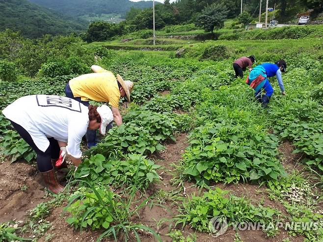 출처 : 연합뉴스