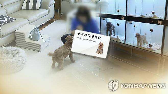 휴가철 버려지는 반려동물…등록제 보완 언제 (CG) [연합뉴스TV 제공]