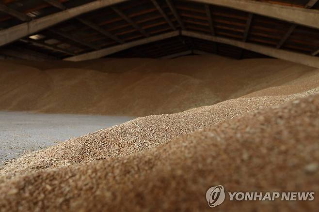 우크라이나 남부 오데사 농장 창고에 쌓인 곡물 [AFP 연합뉴스 자료사진. 재배포 및 DB 금지]