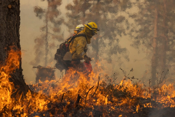 현지시간 24일 소방관이 미국 요세미티 국립공원 인근에서 발생한 대형 화재 진화 작업을 벌이는 모습. 〈사진-AFP·연합뉴스〉