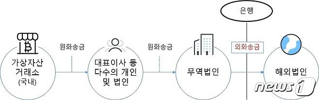 금융감독원이 발표한 이상 외환거래 자금흐름도(제공 금융감독원)/ © 뉴스1