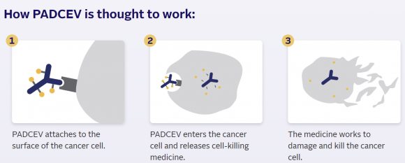 파드셉 작용원리[자료=시겐 홈페이지]