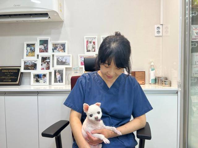 박정윤 수의사가 동물단체로부터 입양한 오빵이를 안아보고 있다. 고은경 기자
