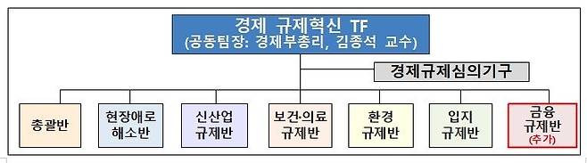 경제 규제혁신 TF [기획재정부 제공]