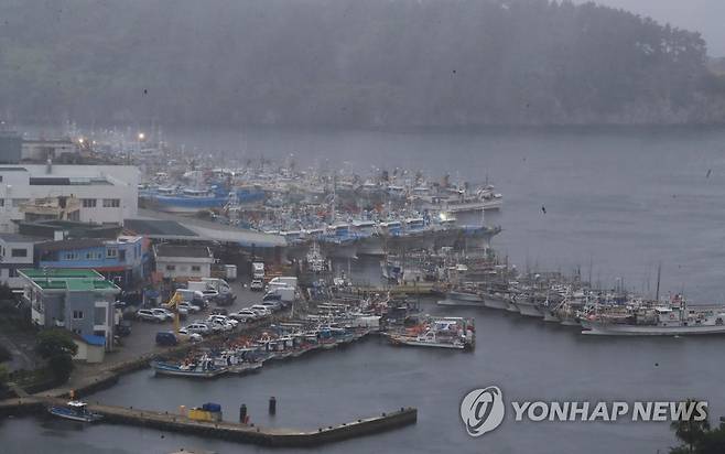 서귀포항에 대피한 어선들 (서귀포=연합뉴스) 백나용 기자 = 30일 오전 7시를 기해 제주도 남쪽 먼바다에 태풍주의보가 발효된 가운데 서귀포항에 어선들이 대피해 있다. 2022.7.30 dragon.me@yna.co.kr