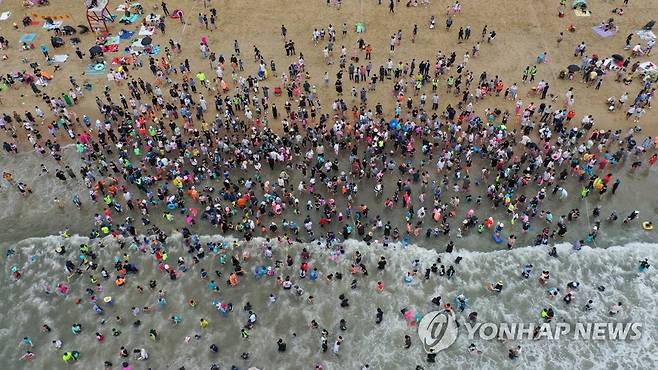 조개 찾아 삼매경 (부산=연합뉴스) 31일 오후 부산 수영구 광안리해수욕장에서 열린 어린이 조개잡이 체험행사에서 참가자들이 조개를 잡으며 즐거운 시간을 보내고 있다. 2022.7.31 [수영구 제공. 재판매 및 DB금지] handbrother@yna.co.kr