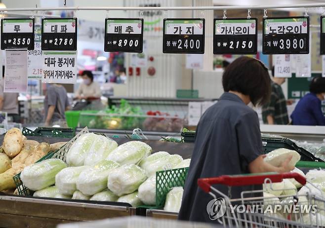 '물가 상승에 장보는 주부들 고민' (대구=연합뉴스) 박세진 기자 = 2일 대구 달서구 하나로마트 성서점에서 시민들이 장을 보고 있다. 이날 발표된 통계청 자료에 따르면 올해 7월 소비자물가지수는 작년 같은 달보다 6.3% 올라 외환위기 이후 최고 상승률을 기록했다. 2022.8.2 psjpsj@yna.co.kr