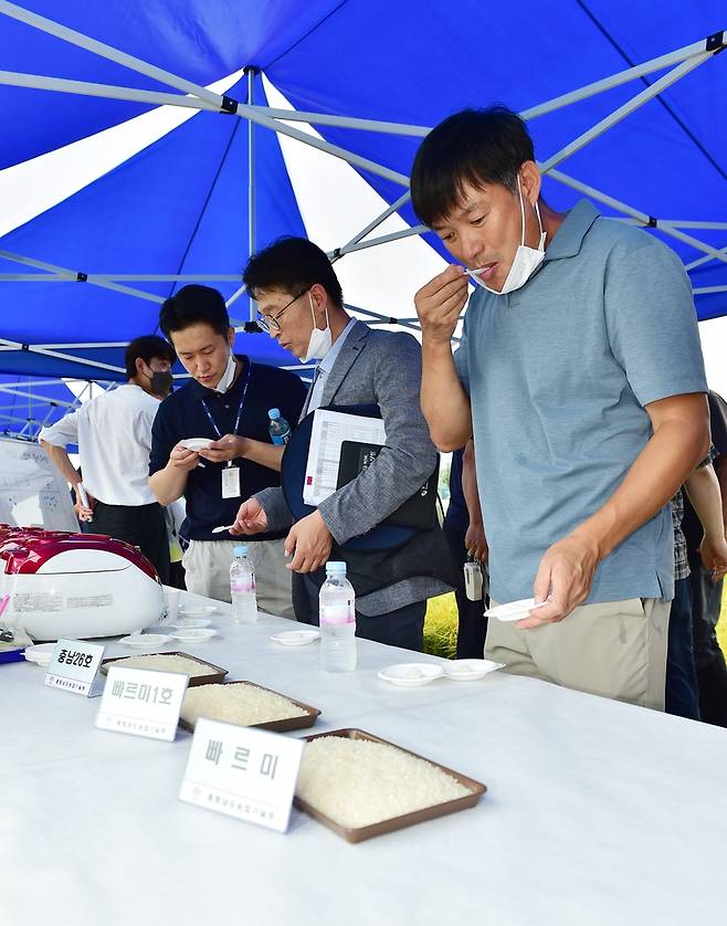 극조생종 벼 현장 평가회 [충남농업기술원 제공. 재판매 및 DB 금지]