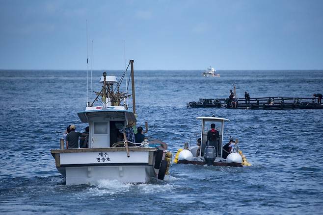4일 마지막 ‘수족관 남방큰돌고래’ 비봉이를 실은 어선이 적응 훈련을 위한 가두리 시설로 향하고 있다. 허호준 기자