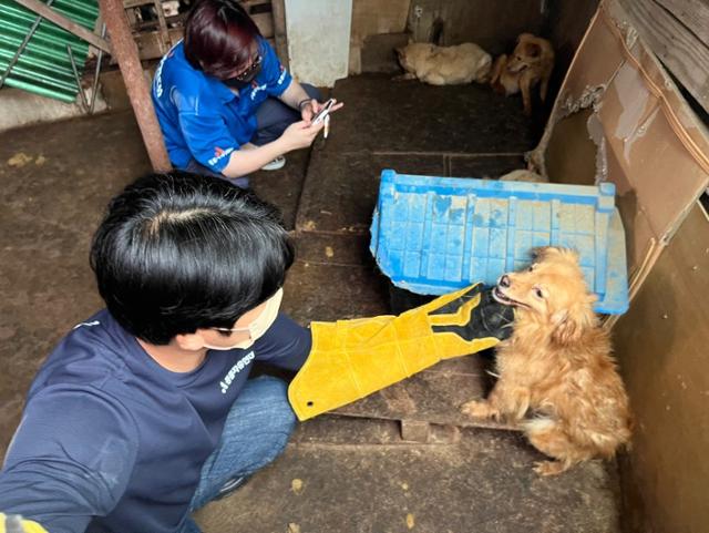 창고에 있던 개들은 구조 당시 겁을 먹어 이리저리 피해 다녀 활동가들의 애를 태웠다. 고은경 기자