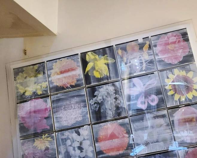 ▲ 출처| 배슬기 인스타그램