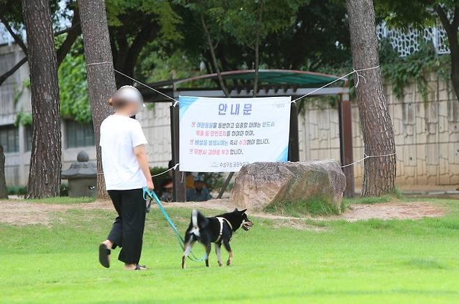 반려견과 산책 중인 시민 [촬영 박세진]